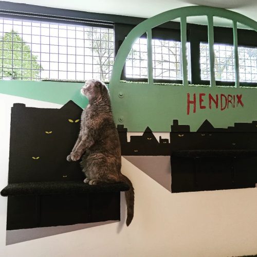 345212231_691198185714571_6930182996074855703_n