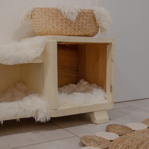 City_Cat_Hotel-12