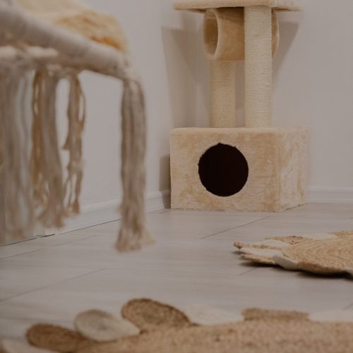 City_Cat_Hotel-13